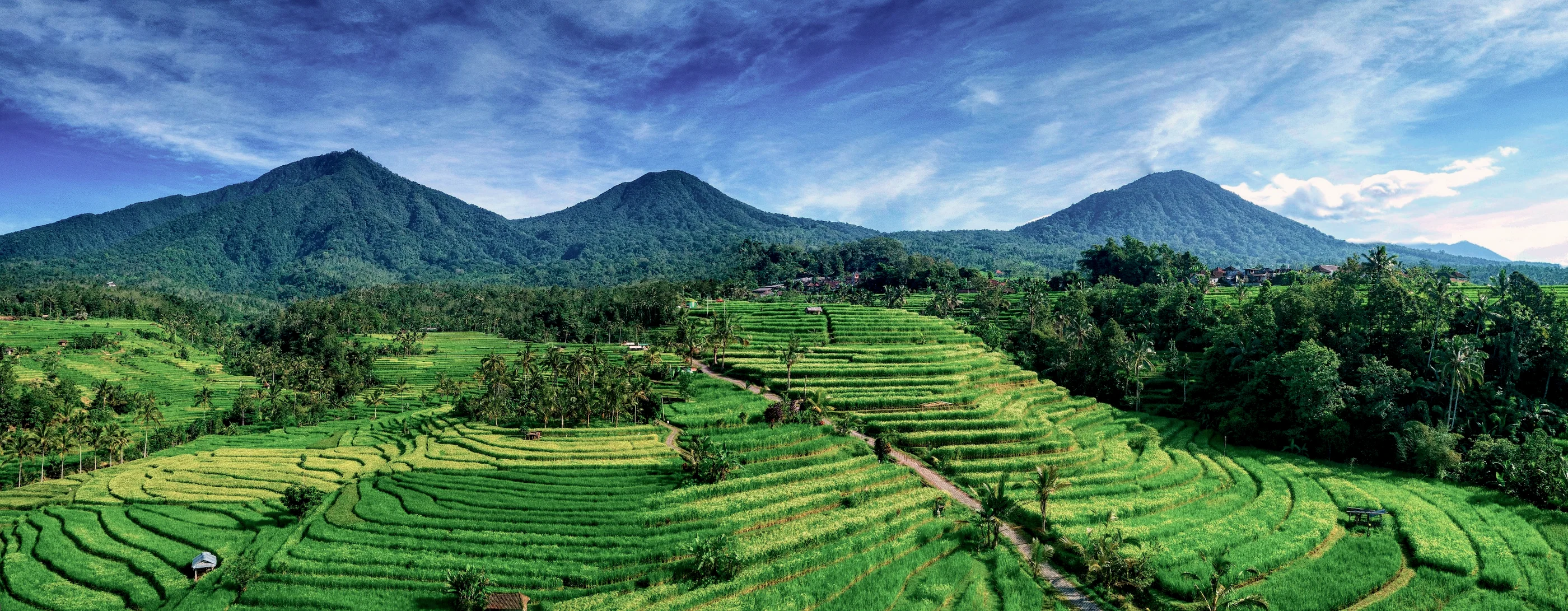 The Jatiluwih rice terraces beneath the mountains