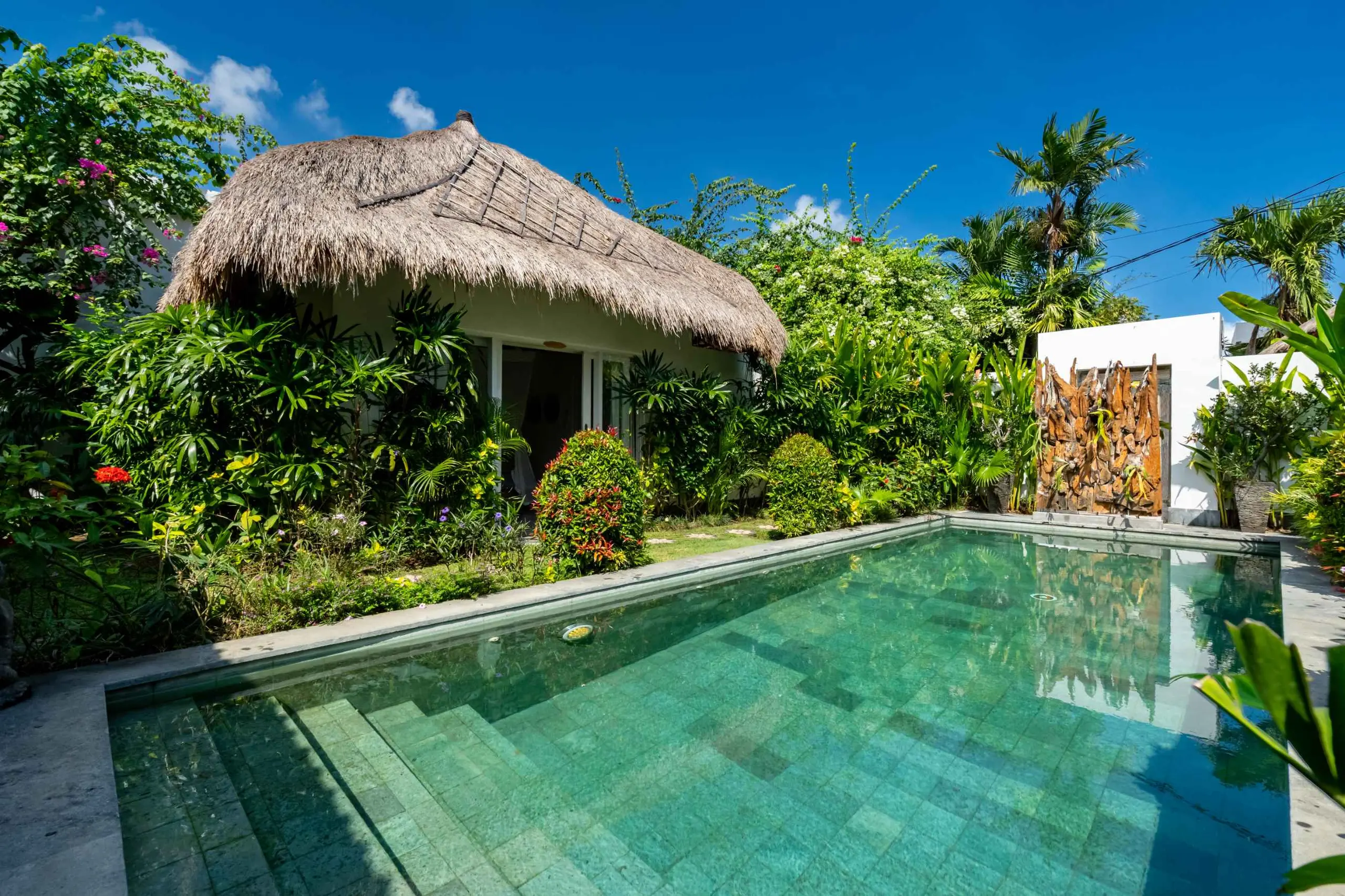 The garden & pool