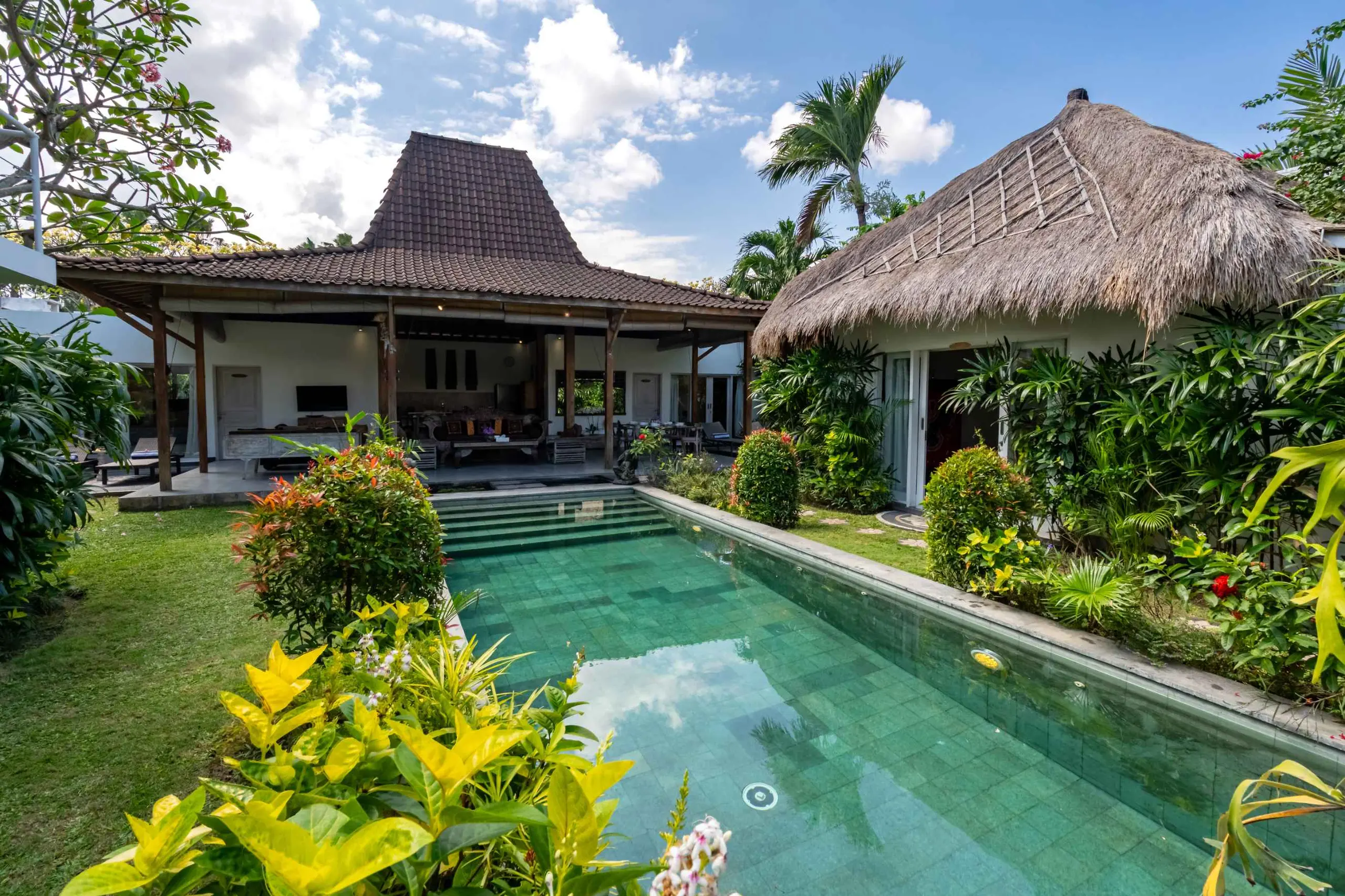 The garden & pool